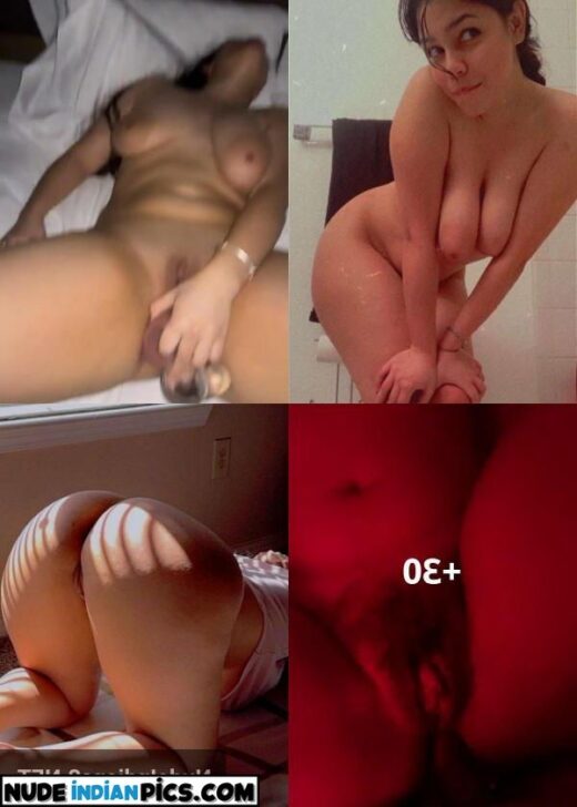 Busty Punjabi Nri Antervasna Photo