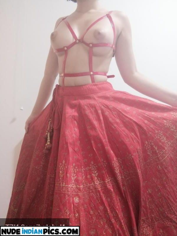 Big Boobs Indian Aunty Nude Sex