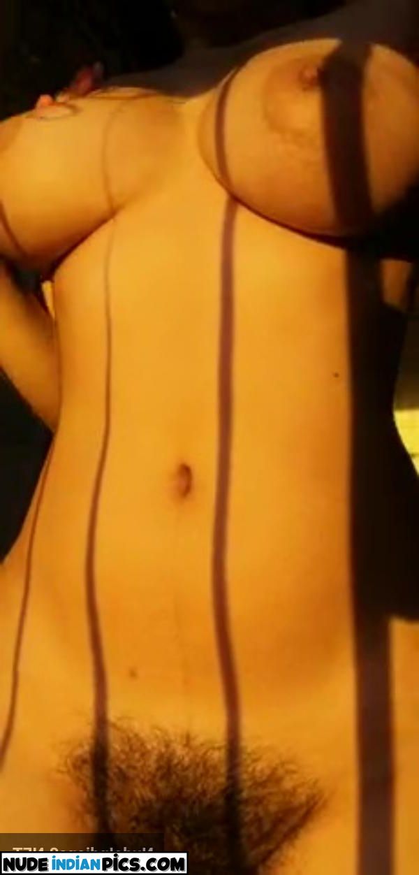 Big Boobs Indian Naked Housewife Selfies