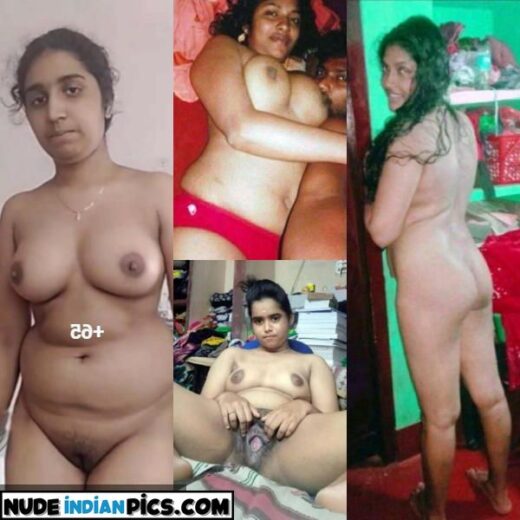 Bold Telugu Bhabhi Desi Big Boobs Nude Pic